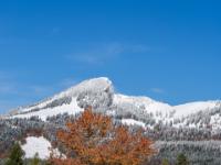 Herbstbaum und darüber der Spitzstein